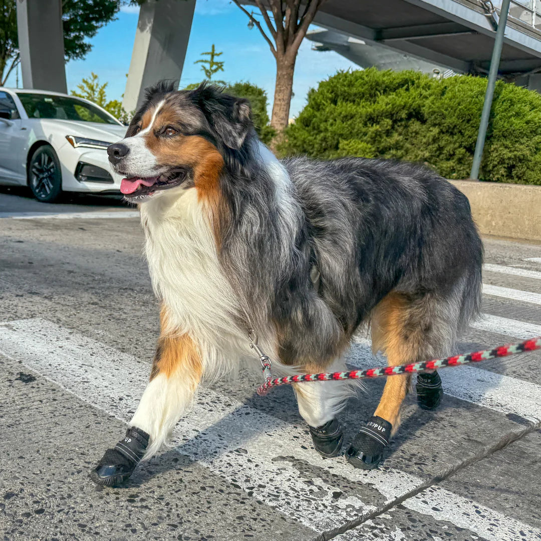 AIR PUP 1 DOG SHOES - SETS OF 4