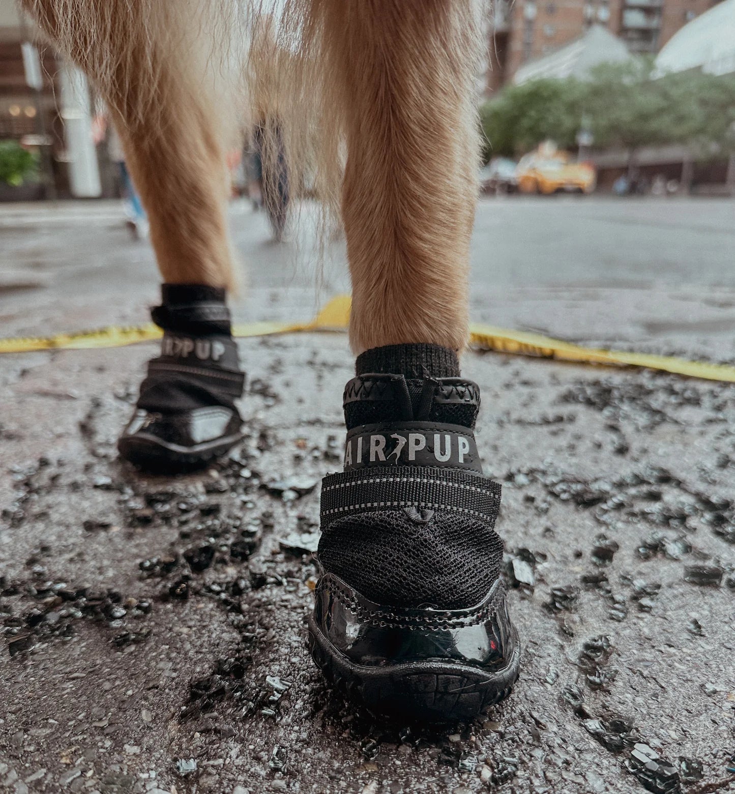 AIR PUP 1 DOG SHOES - SETS OF 4